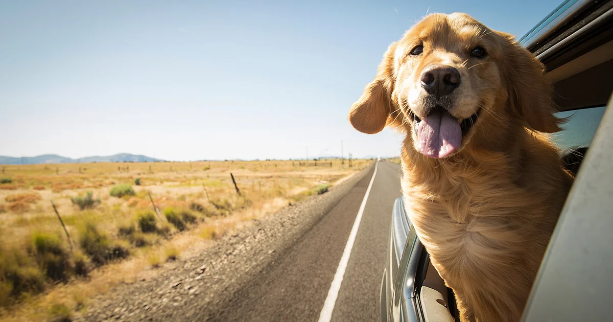 What we’ve been playing – “I’d like to shout out a fun game you can only really do on the road”