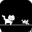 Super Cute Cat